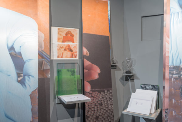 Vue de l'installation hexagone18