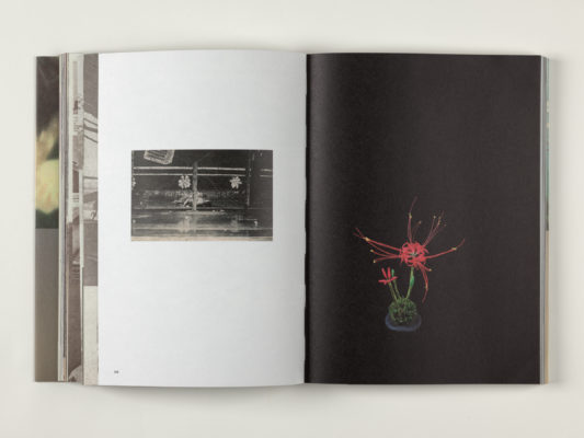 Kurt Tong, «Dear Franklin» 
