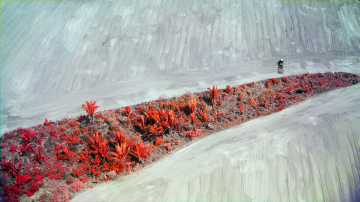 Foto eines Werks von Richard Mosse aus der Ausstellung 