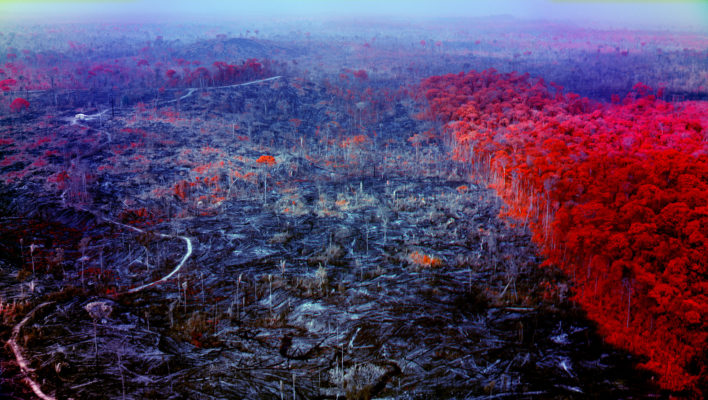Foto eines Werks von Richard Mosse aus der Ausstellung 