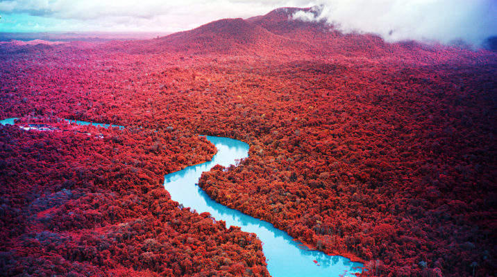 Foto eines Werks von Richard Mosse aus der Ausstellung 